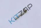 ���� ����-������� ������ ��������