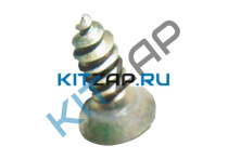 �������_����_0